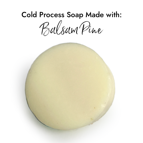 Balsam Pine Fragrance Oil in Cold Process Soap