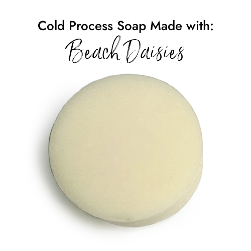 Beach Daisies Fragrance in Cold Process Soap
