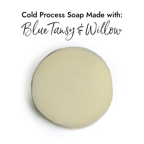 Blue Tansy and Willow Fragrance in Cold Process Soap