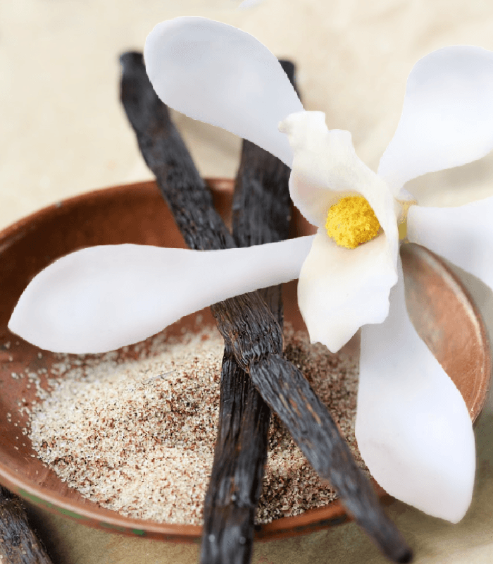 Vanilla Blossom - Premium Fragrance Oil – NorthWood Distributing