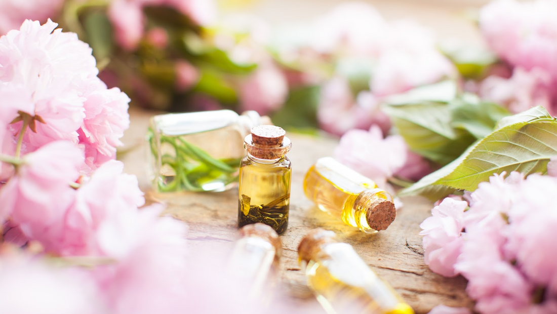 Top Selling Spring Fragrance Oil Sample Pack