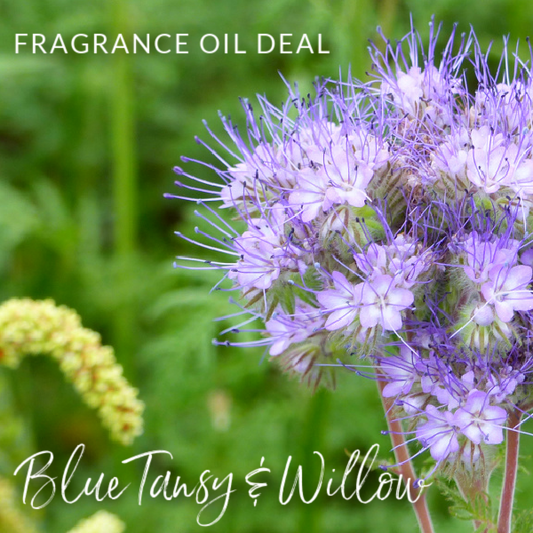 Blue Tansy & Willow Fragrance Sale