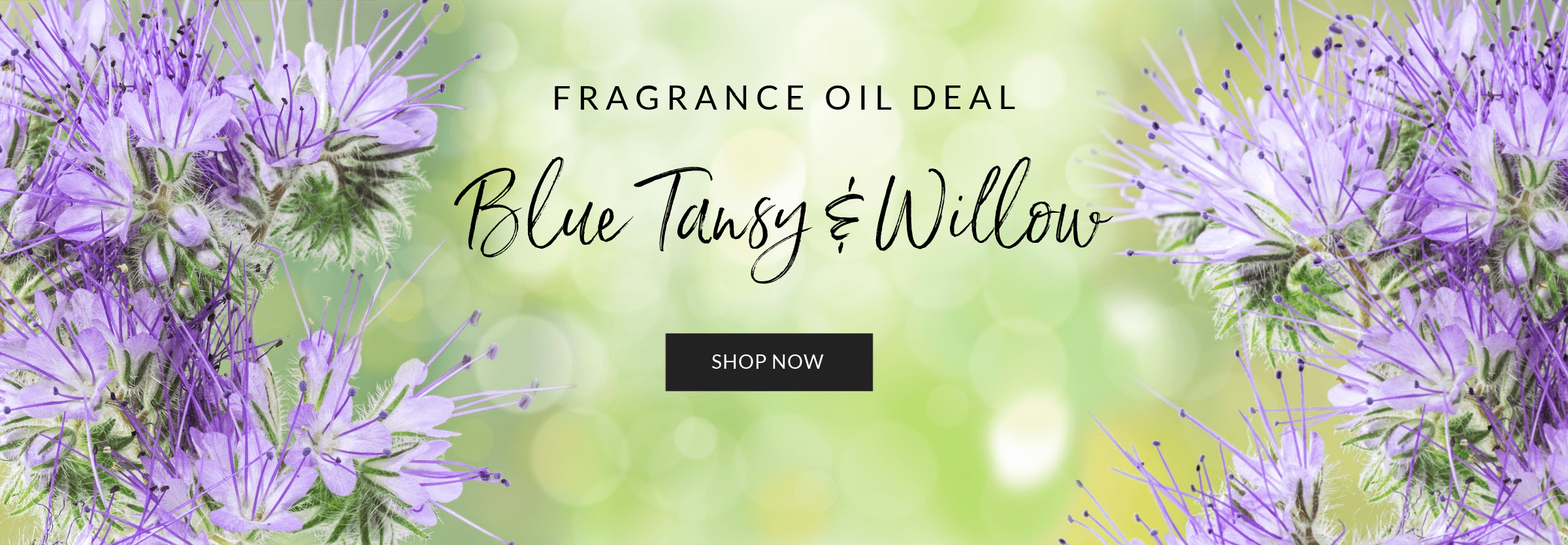 Blue Tansy and Willow Fragrance Oil Deal