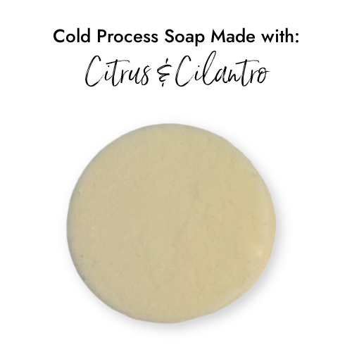 Cold Process Soap Made with Citrus Cilantro Fragrance