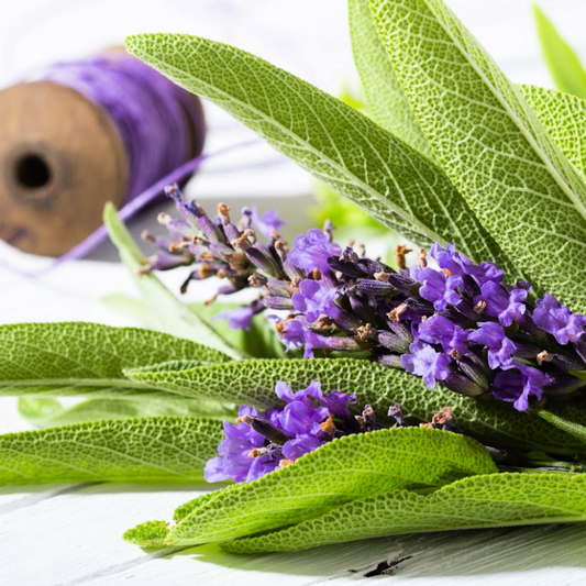 Smoked Sage & Lavender best wholesale fragrance for candle making