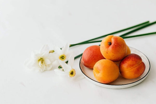 Apricot Sugar best wholesale candle fragrance