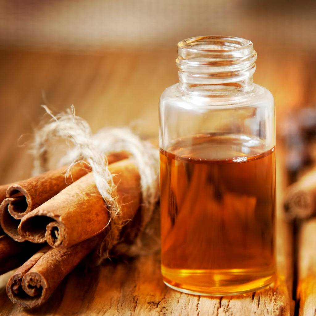 Cinnamon Clove Fragrance Oil - Cinnamon, Clove, Vanilla, & Amber
