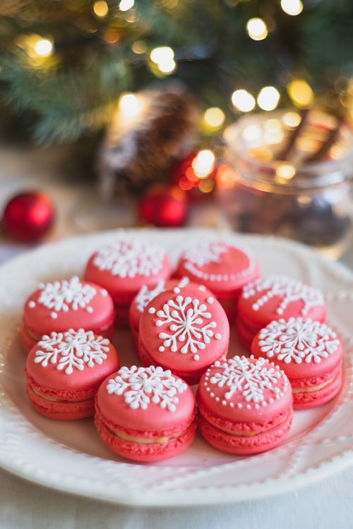 Cranberry Macaron best wholesale candle making fragrance oil