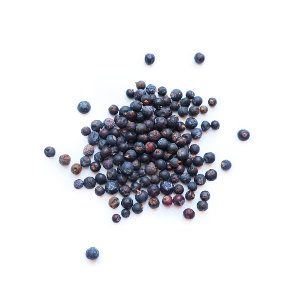 Dried Juniper Berries for Crafting