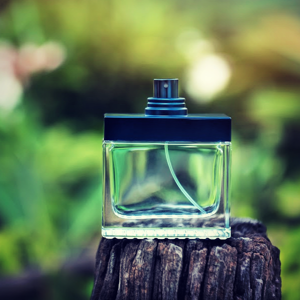 Guess for Men (type) - Premium Fragrance Oil – NorthWood Distributing