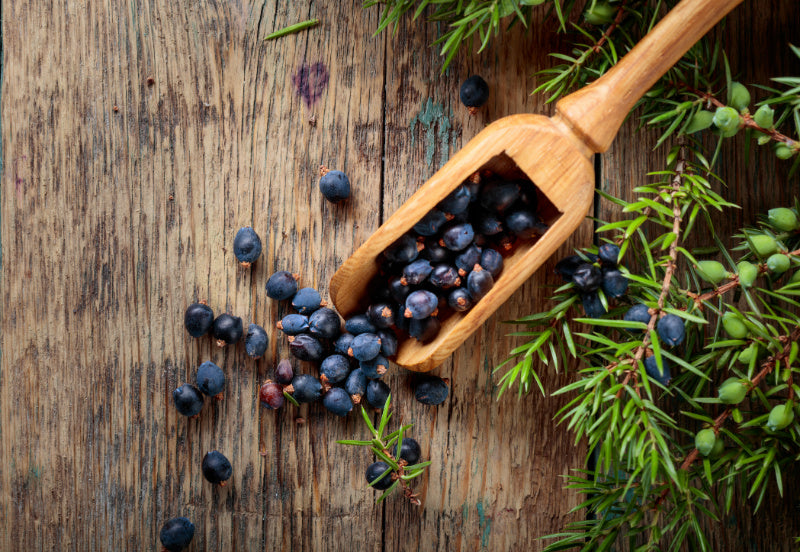 Juniper Berries & Tobacco best wholesale fragrance for candle and soap making