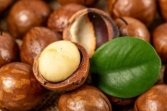 Macadamia Nutmeg best wholesale candle fragrance oil