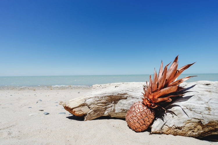 Pineapple Driftwood best wholesale candle fragrance oil