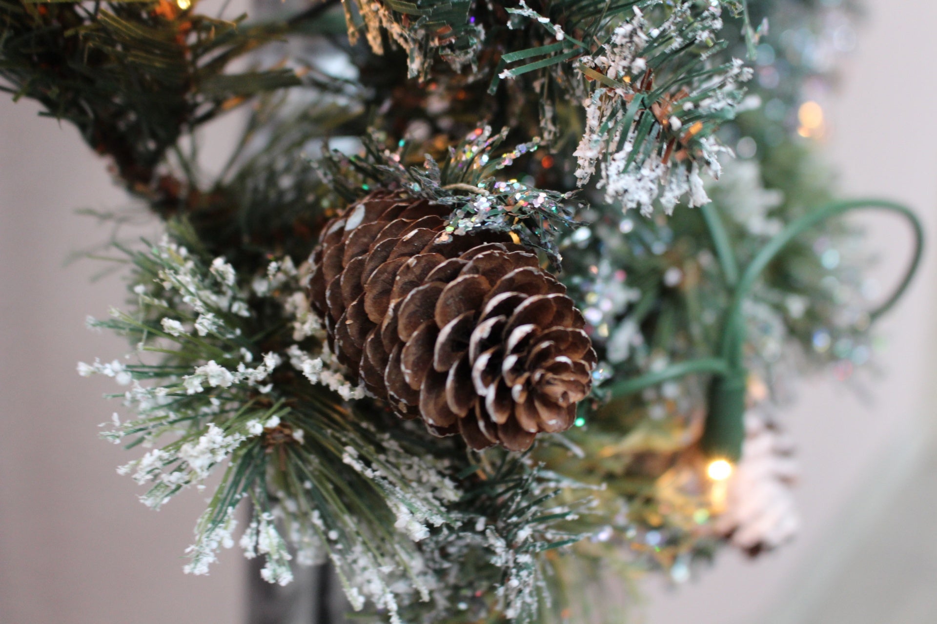 Pinecones - Frosted Pine Fragrance Oil