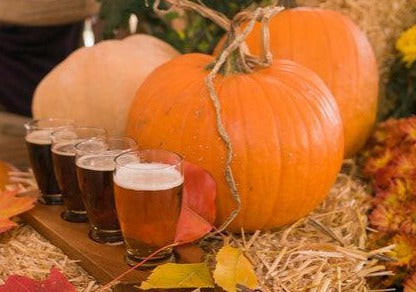 Pumpkin Lager - Fall Beer Fragrance Oil
