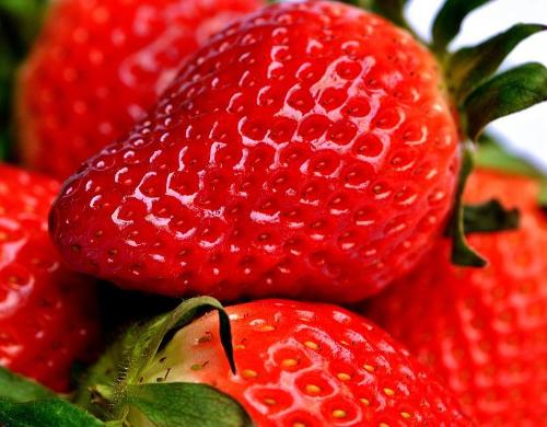 Fresh Strawberry Fragrance Oil - Create Your Own Candle Fragrances